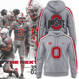 Men’s Ohio State Buckeyes Nike Gray Game Hoodie