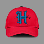 Houston Texans 3D CAP 2024
